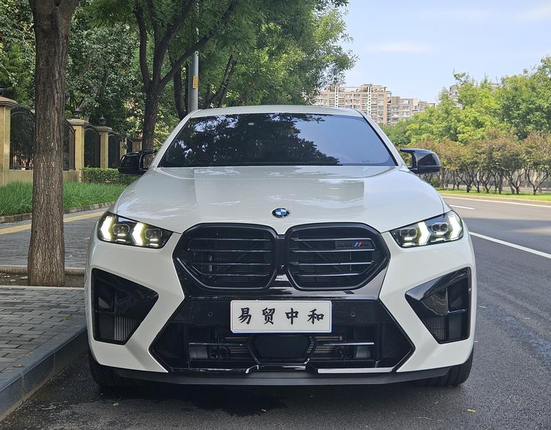BMW X6 M, 2025 — фото 2 из 12