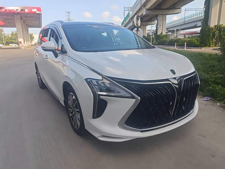 Dongfeng Forthing Yacht, 2023 — фото 4 из 9