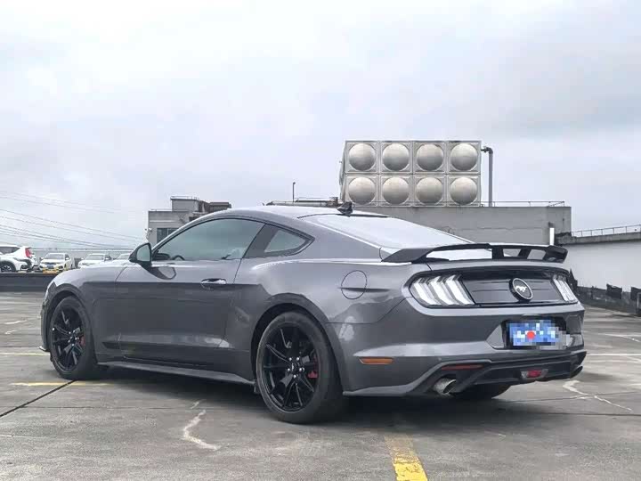 Ford Mustang, 2022 — фото 4 из 9