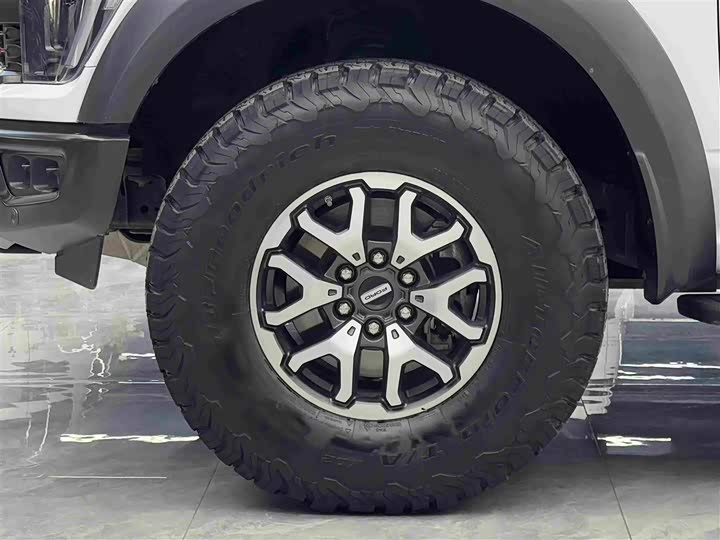 Ford F-150 Raptor, 2023 — фото 4 из 9