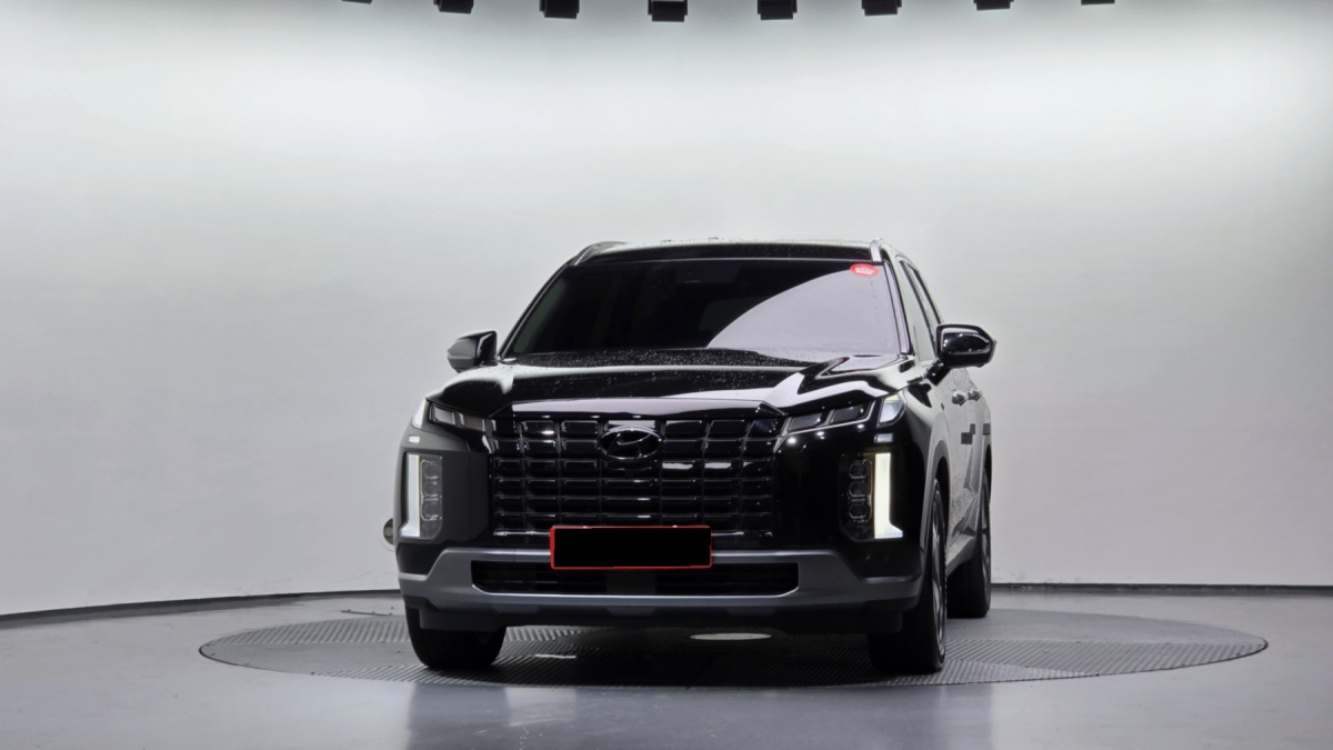 Hyundai Palisade, 2024 — фото 3 из 12