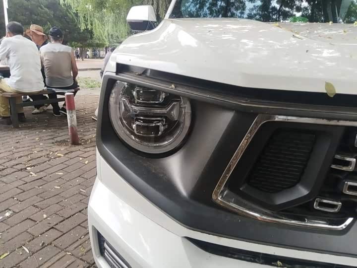 Haval H-Dog Hybrid, 2023 — фото 7 из 9