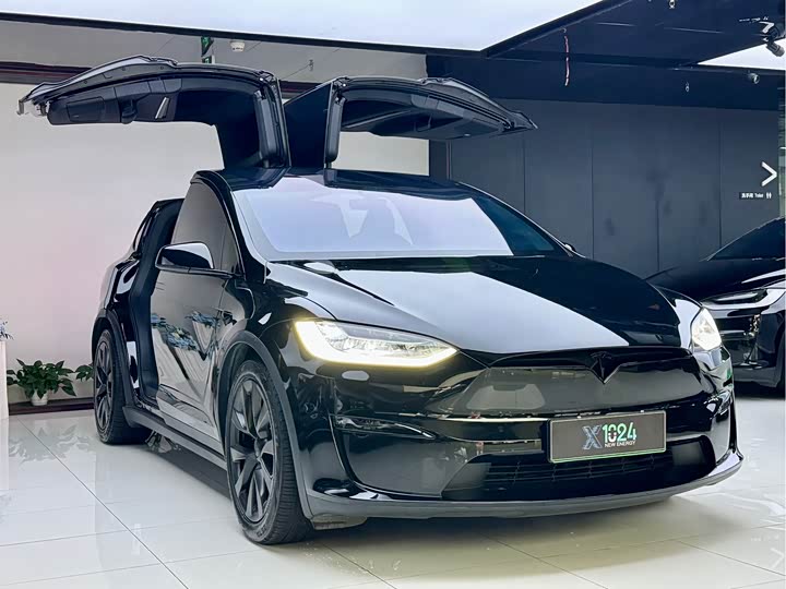 Tesla Model X, 2023 — фото 3 из 9
