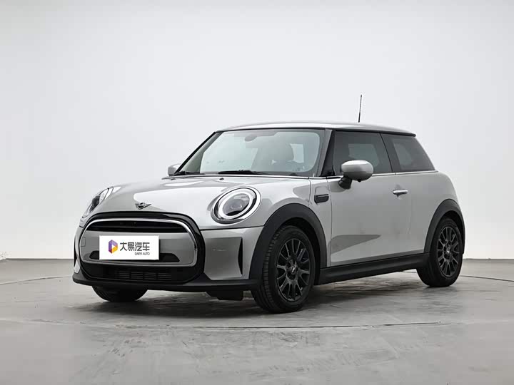 Mini Mini, 2023 — купить в Саратове под ключ