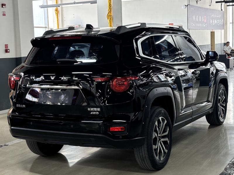 Haval H-Dog, 2023 — фото 6 из 12