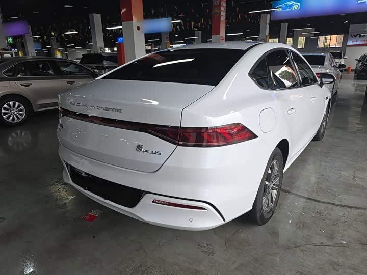 BYD Qin Plus, 2024 — фото 5 из 9