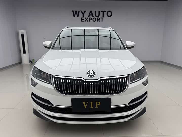 Skoda Karoq, 2023 — фото 2 из 9