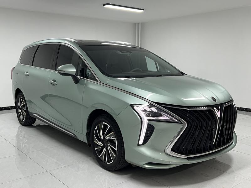 Dongfeng Forthing Yacht, 2023 — фото 3 из 12