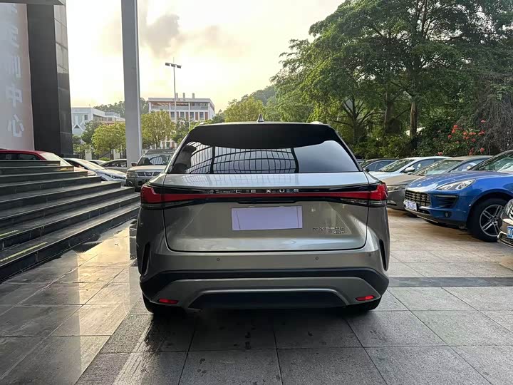 Lexus RX, 2023 — фото 8 из 9