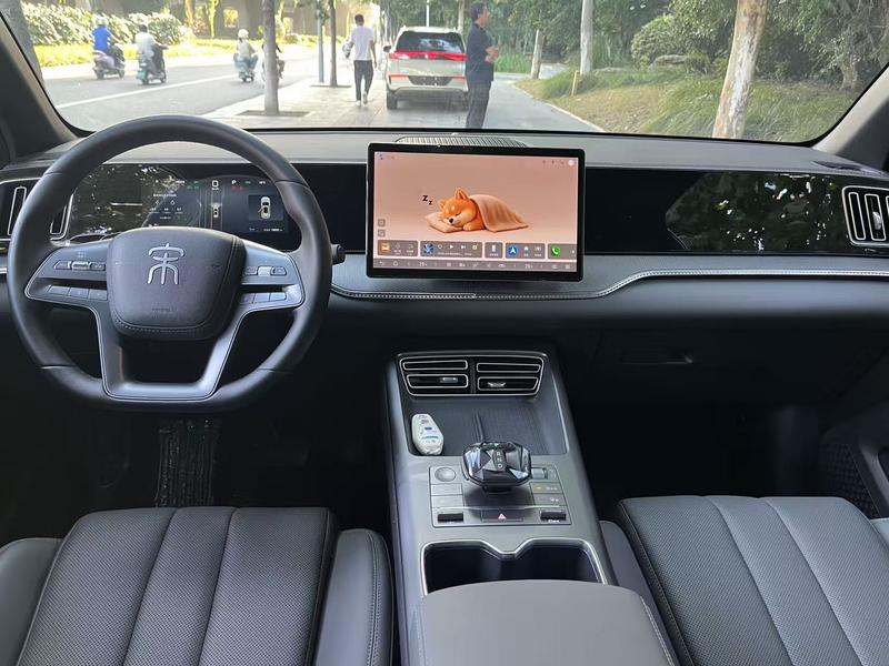 BYD Song Pro Hybrid, 2024 — фото 7 из 10