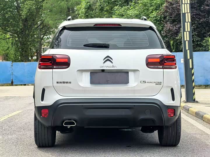 Citroen C5 Aircross 2023, 2024 — фото 8 из 9