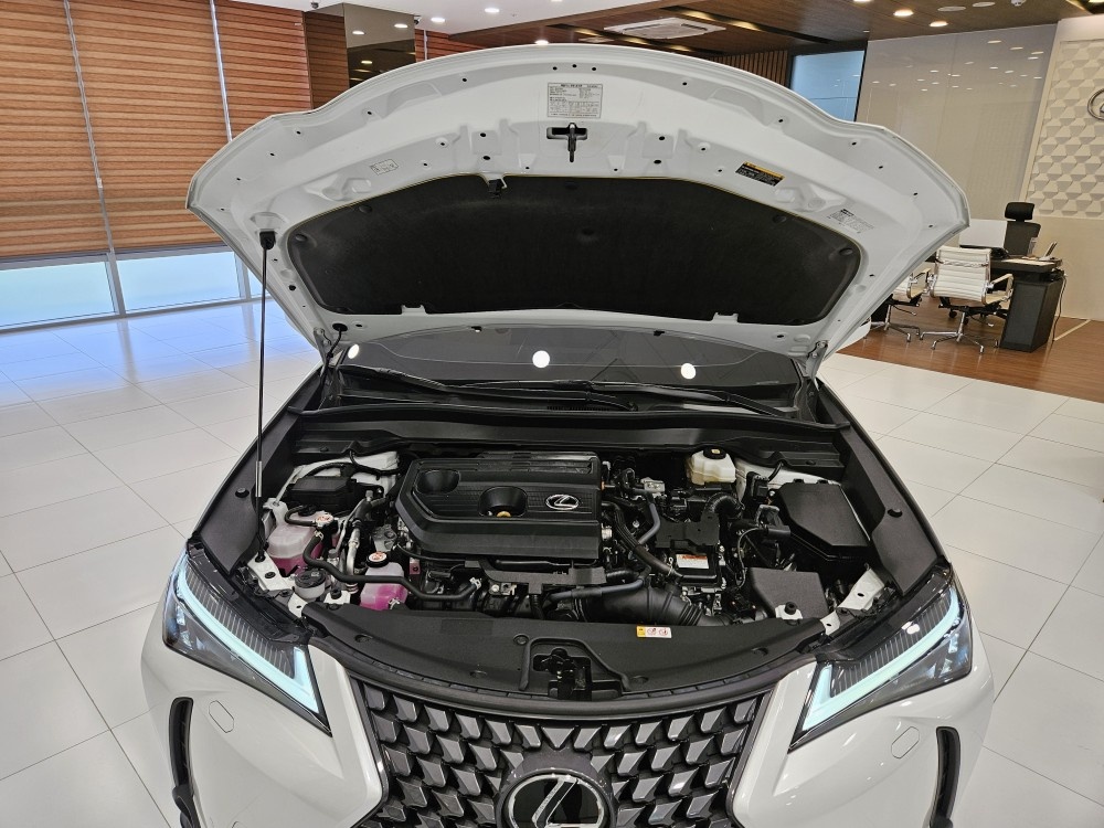 Lexus UX, 2024 — фото 7 из 12