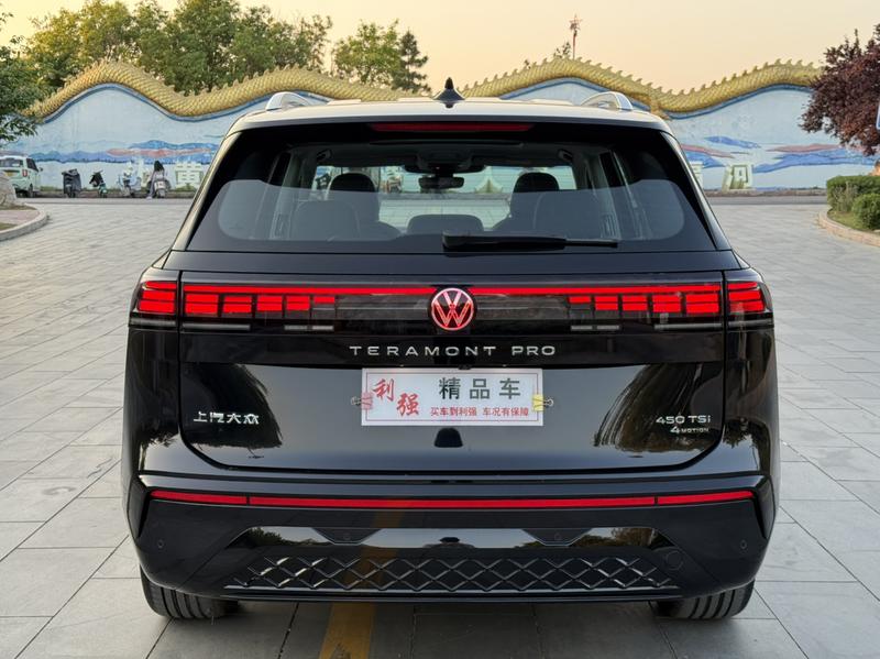 Volkswagen Teramont Pro, 2026 — фото 6 из 12