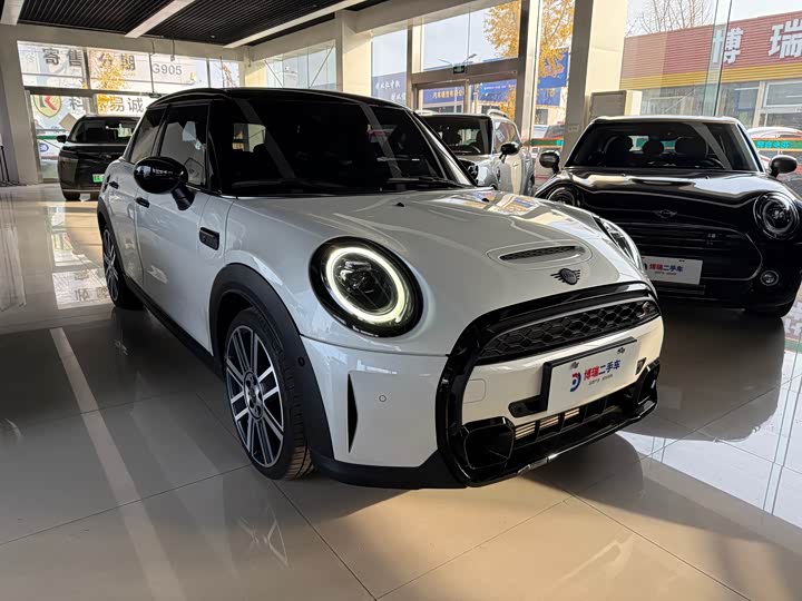 Mini Mini, 2023 — купить в Туле под ключ