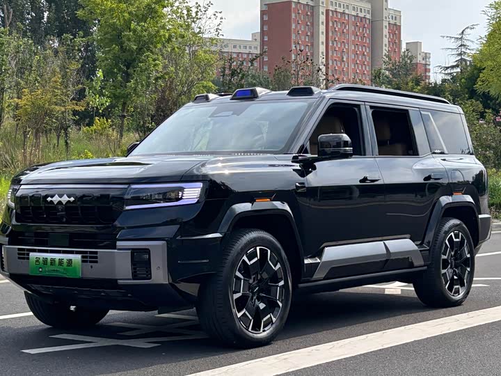 BYD FangChengBao Leopard 8, 2024 — купить в Владимире под ключ