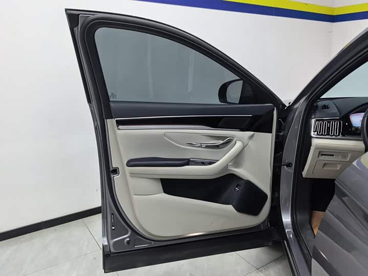 BYD Song Plus Hybrid/EV, 2024 — фото 7 из 9