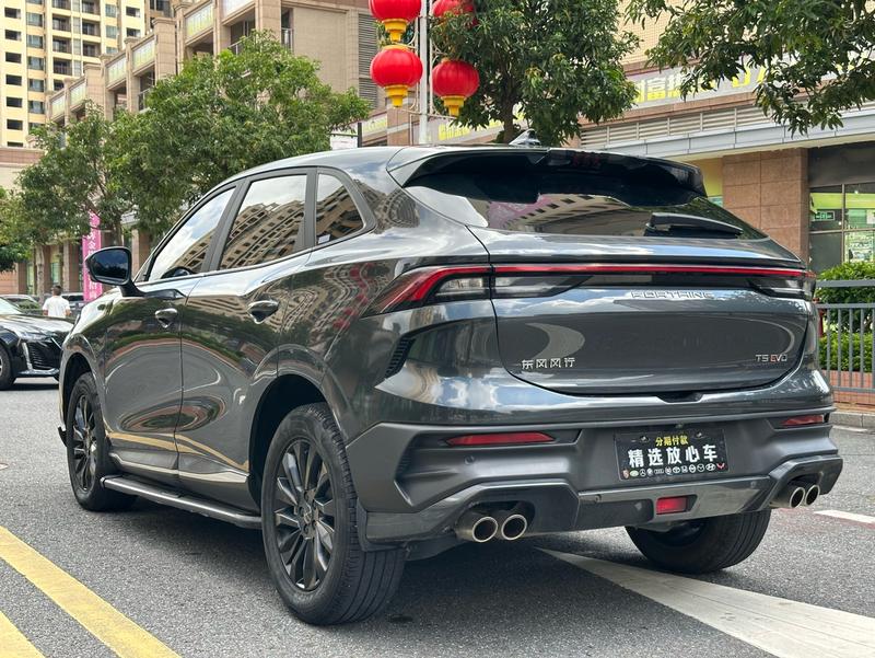 Dongfeng Forthing T5 EVO, 2023 — фото 5 из 12
