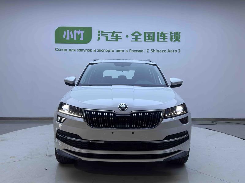 Skoda Karoq, 2025 — фото 2 из 12