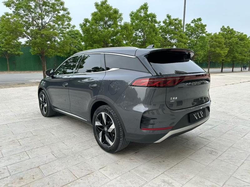 BYD Tang Hybrid/EV, 2024 — фото 4 из 10