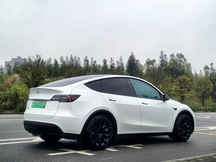Tesla Model Y, 2023 — фото 6 из 9