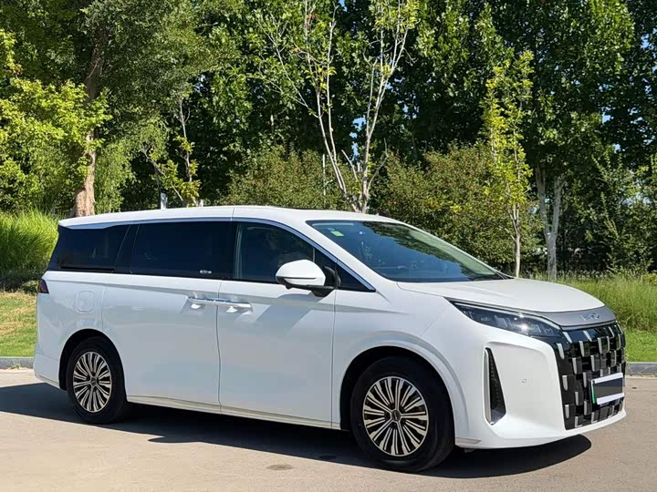 BYD M9, 2025 — фото 3 из 9