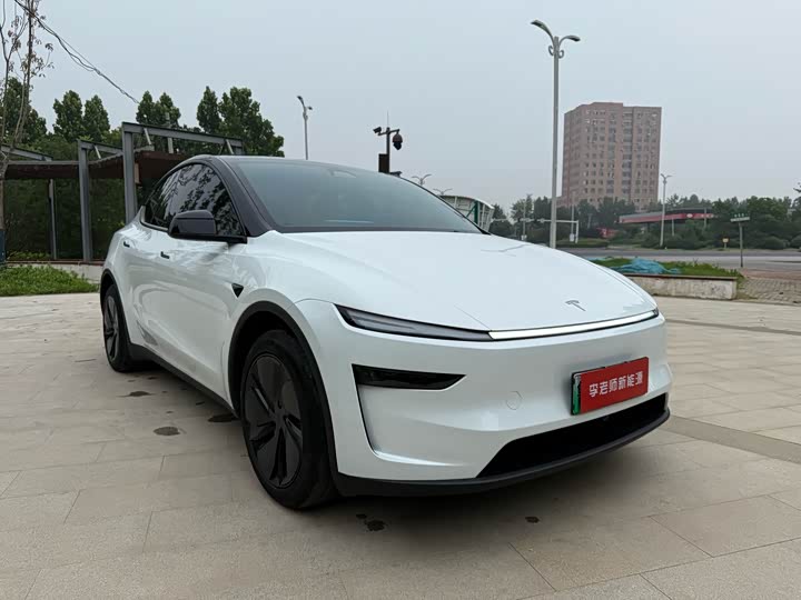 Tesla Model Y, 2024 — фото 3 из 9