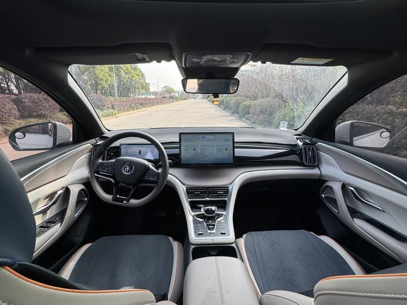 BYD Song Pro Hybrid, 2023 — фото 9 из 12