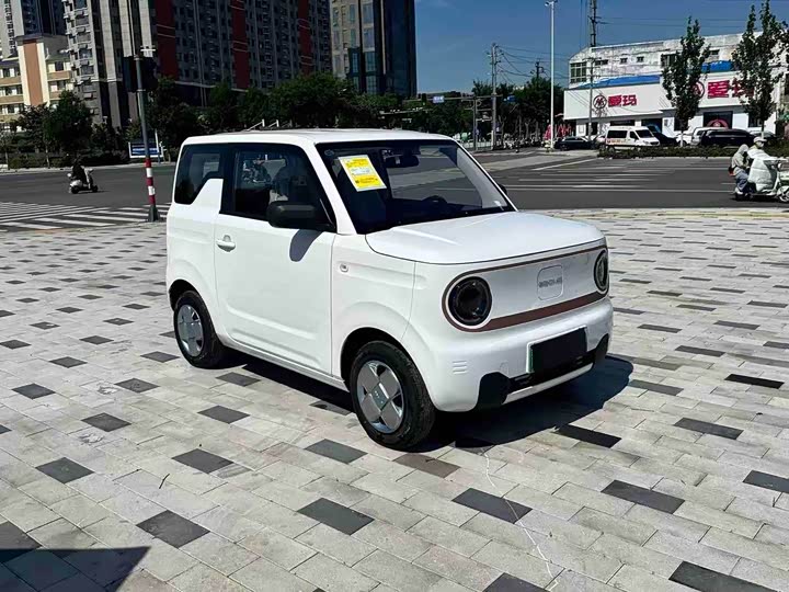 Geely Galaxy Panda Mini, 2025 — фото 2 из 9