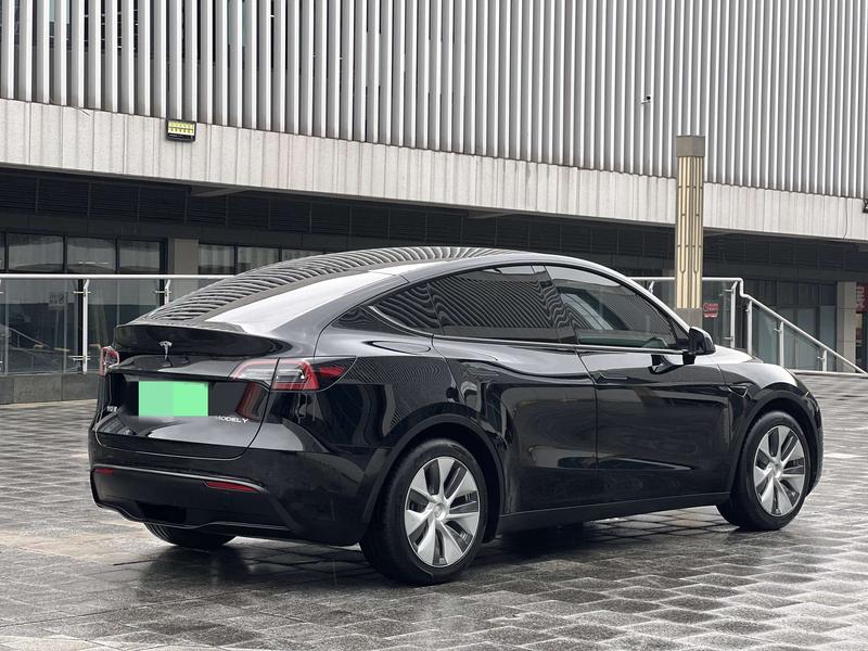 Tesla Model Y, 2021 — фото 6 из 10