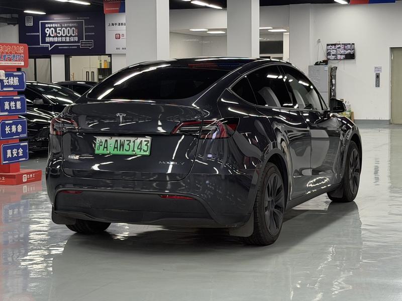 Tesla Model Y, 2024 — фото 6 из 11