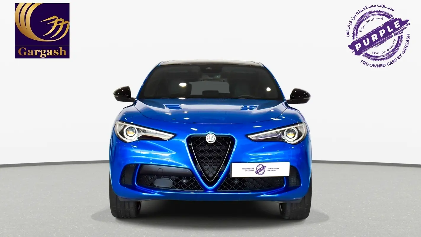 Alfa Romeo Stelvio, 2023 — фото 2 из 10