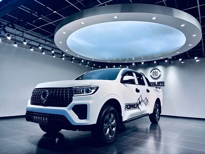 Great Wall Pao, 2024 — купить в Костроме под ключ