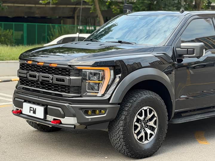 Ford F-150 Raptor, 2024 — фото 4 из 9