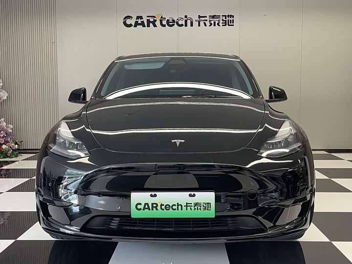Tesla Model Y, 2023 — фото 3 из 9