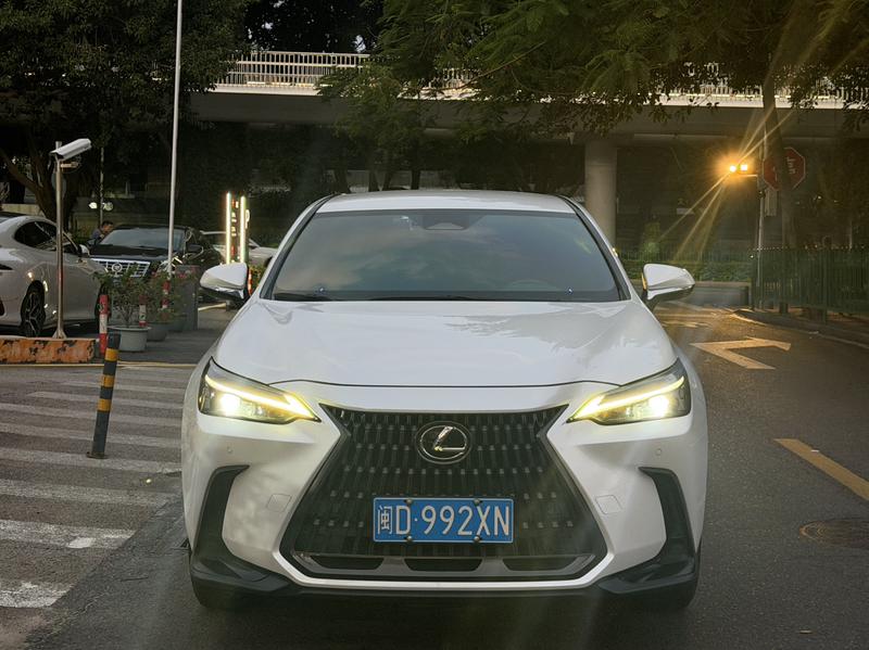 Lexus NX, 2022 — фото 2 из 11