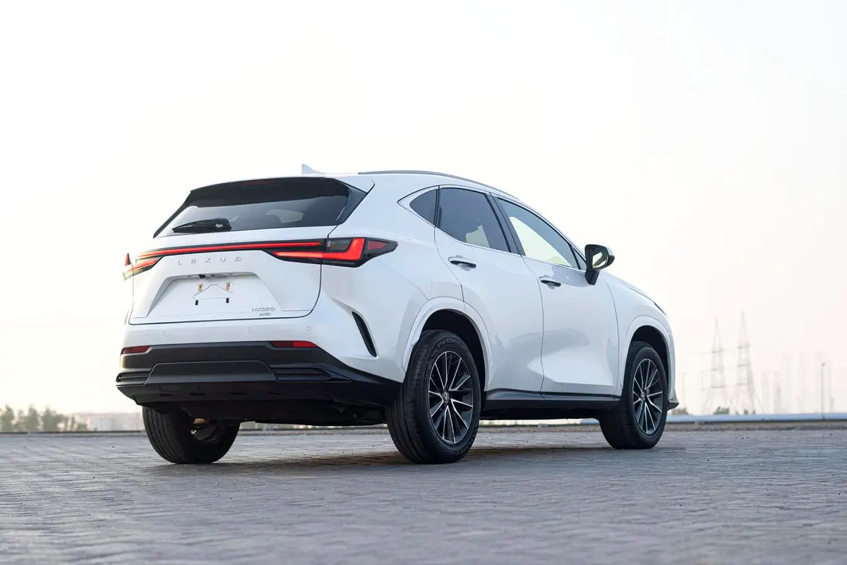 Lexus NX-Series, 2024 — фото 4 из 10