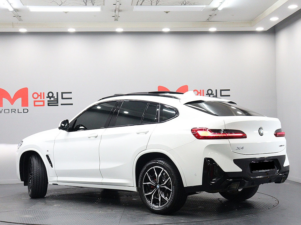 BMW X4, 2023 — фото 3 из 12