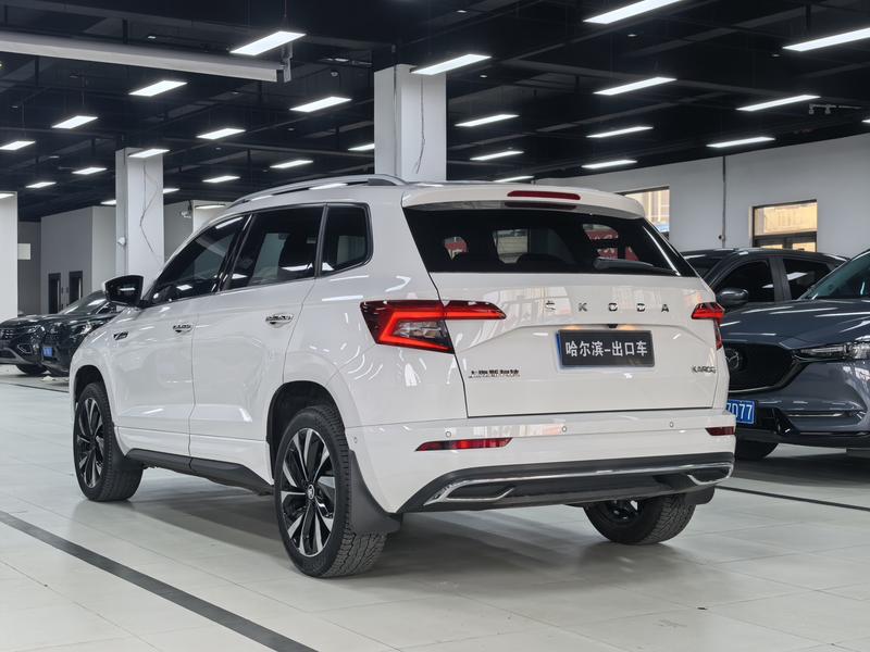 Skoda Karoq, 2022 — фото 4 из 12