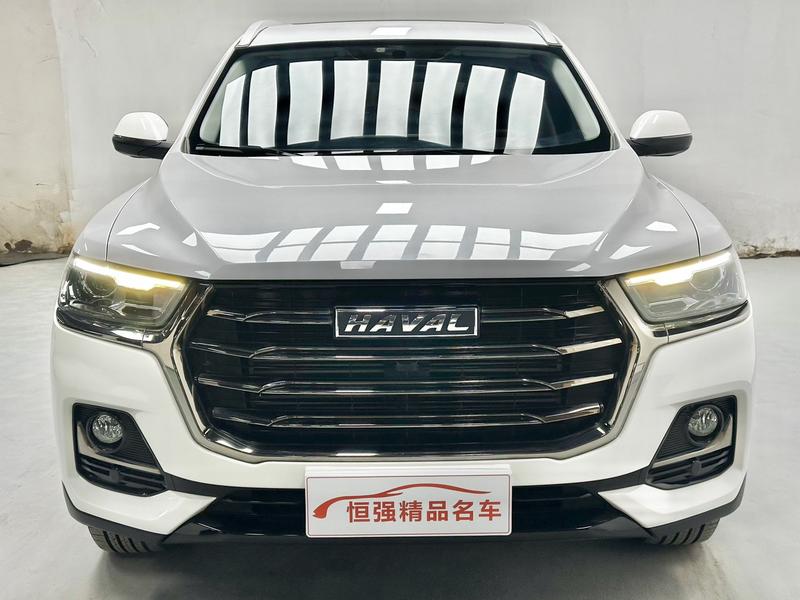 Haval H6, 2021 — фото 2 из 12