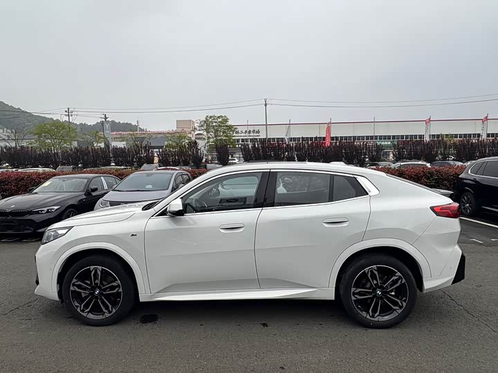 BMW X2, 2025 — фото 5 из 9
