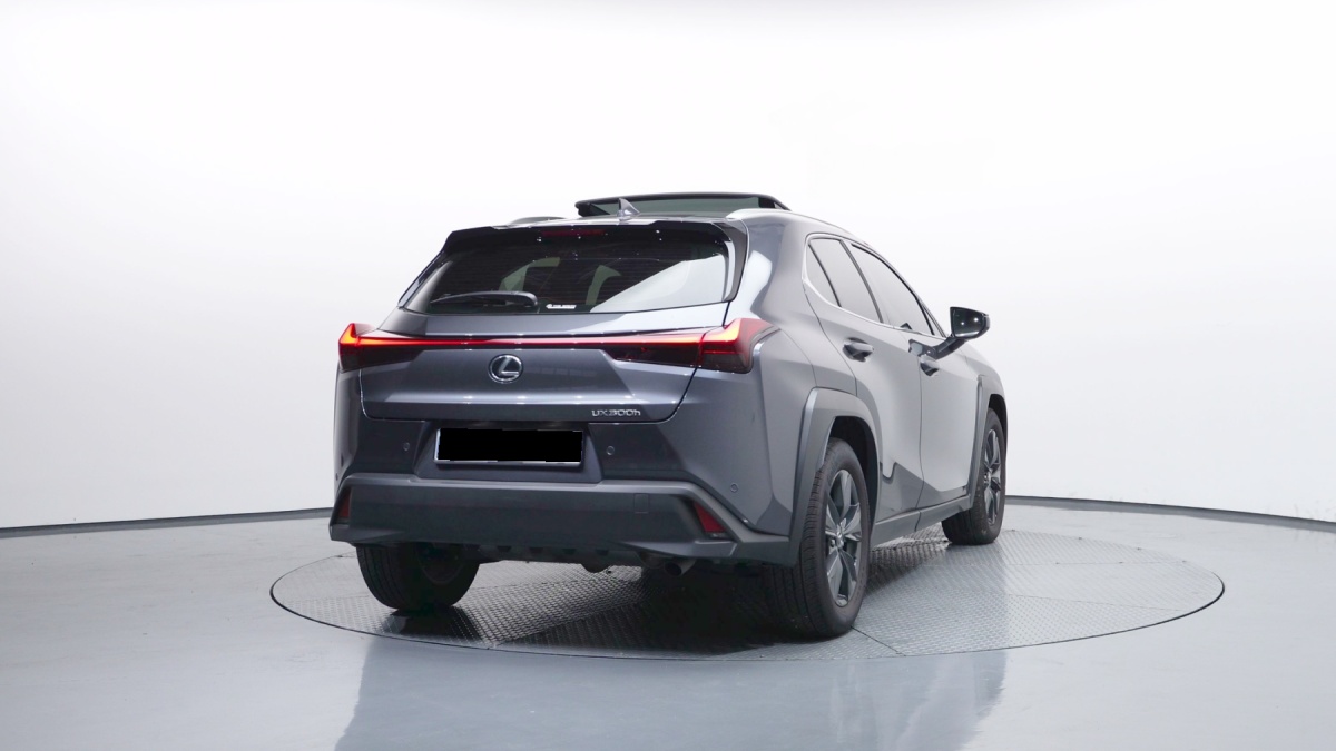 Lexus UX, 2025 — фото 4 из 12