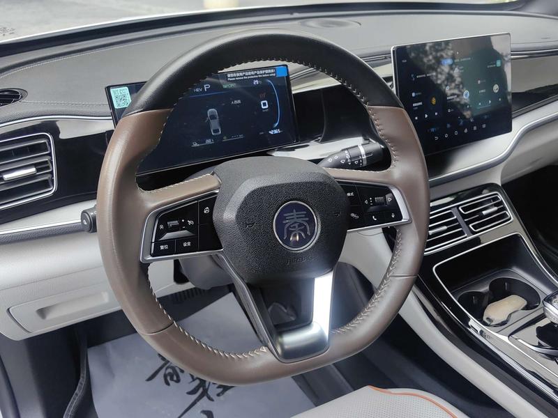 BYD Qin Plus, 2024 — фото 12 из 12