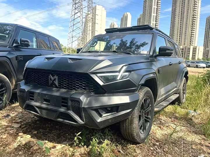 Dongfeng Mengshi M-Hero 917, 2026 — купить в Туле под ключ