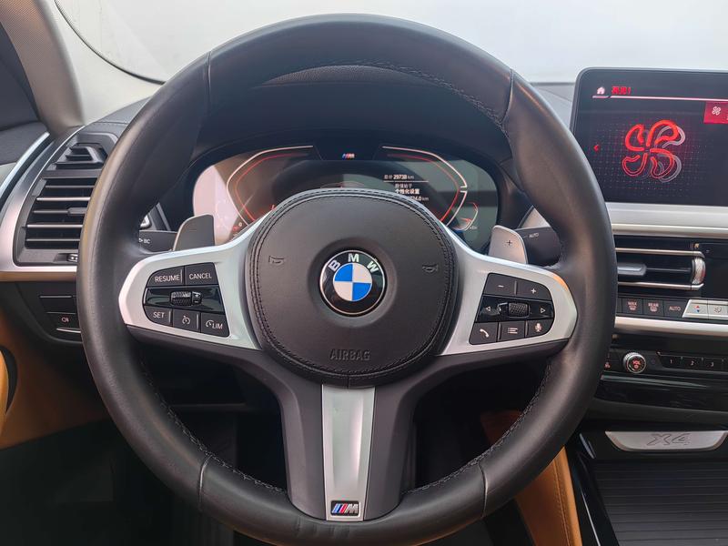 BMW X4, 2023 — фото 10 из 12