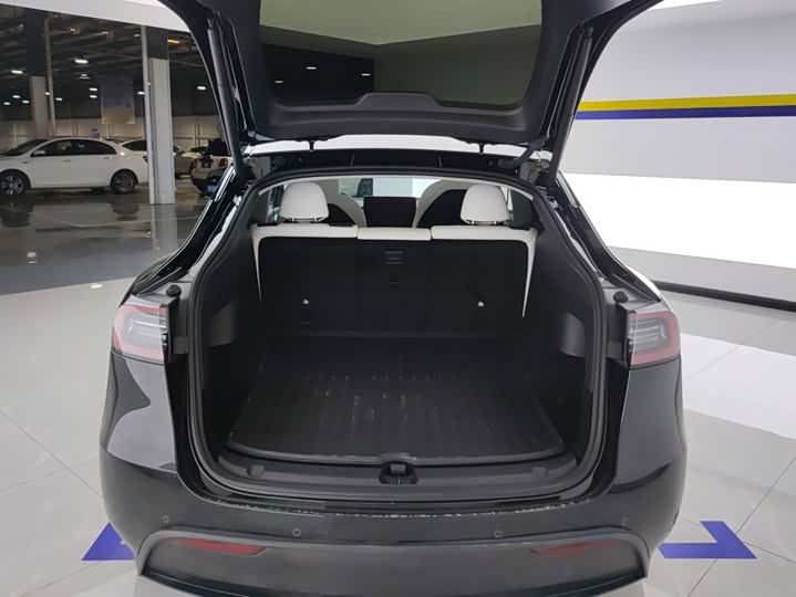 Tesla Model Y, 2023 — фото 4 из 9