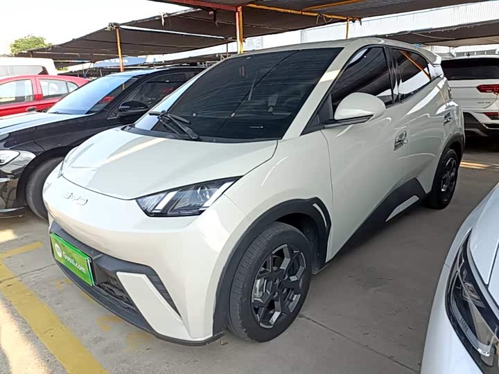 BYD Seagull, 2024 — купить в Рязани под ключ