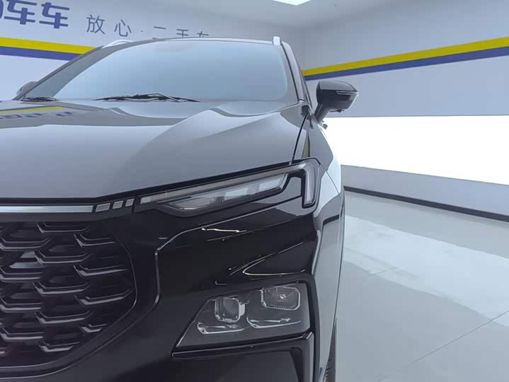 Ford Equator Sport, 2024 — фото 5 из 9