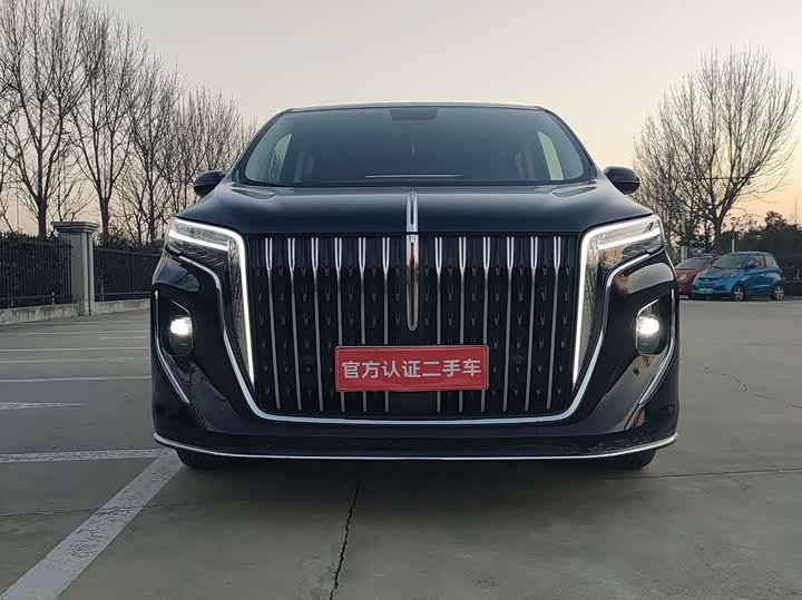 Hongqi HQ9 Hybrid, 2024 — фото 2 из 9