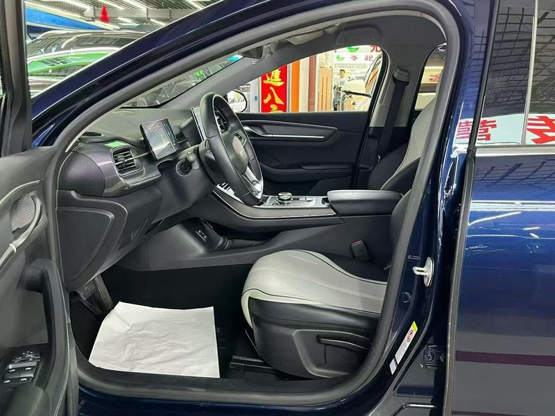 BYD Destroyer 05, 2024 — фото 8 из 10