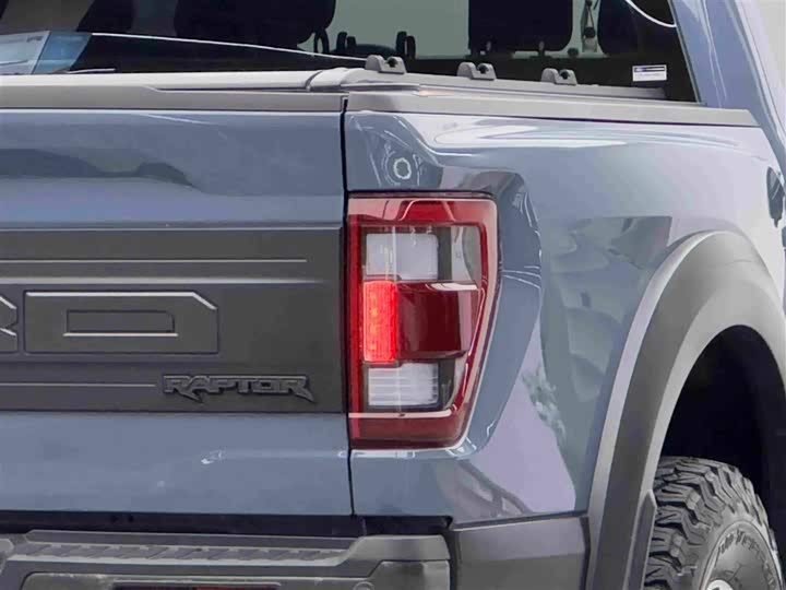 Ford F-150 Raptor, 2024 — фото 6 из 9